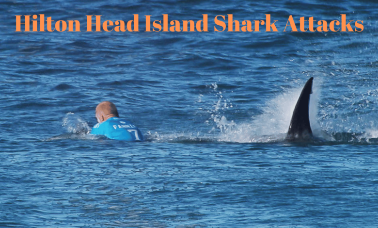 hilton head island shark attacks